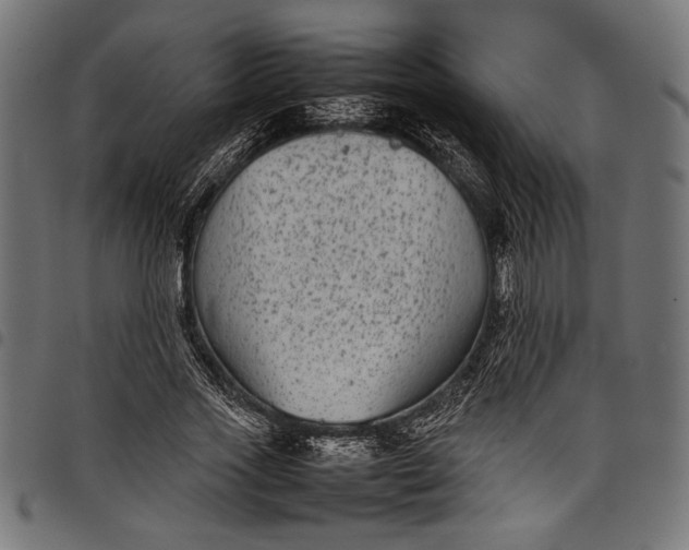 X0000097820733200803281120