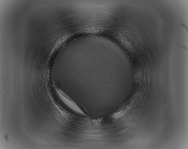 X0000097820736200803281120