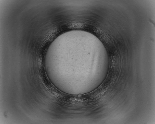 X0000097820739200803281120