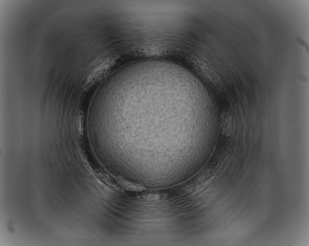 X0000097820740200803281120