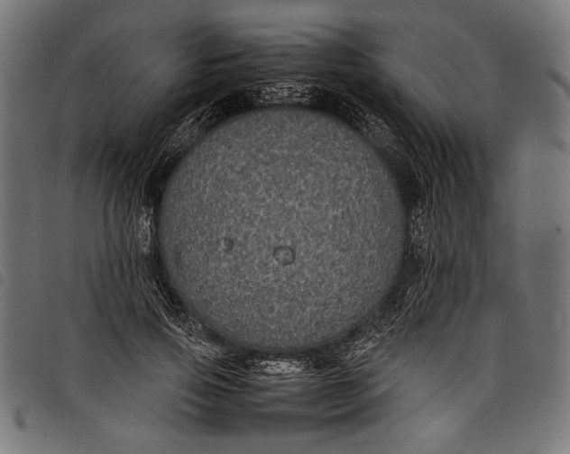 X0000097820741200803281120