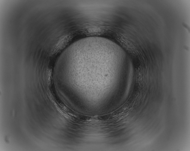 X0000097820742200803281120