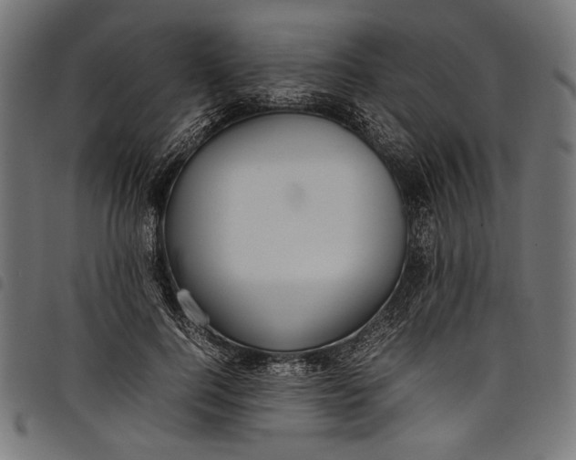 X0000097820744200803281121