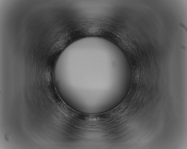 X0000097820746200803281121