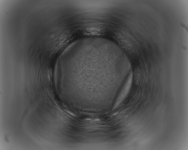 X0000097820747200803281121