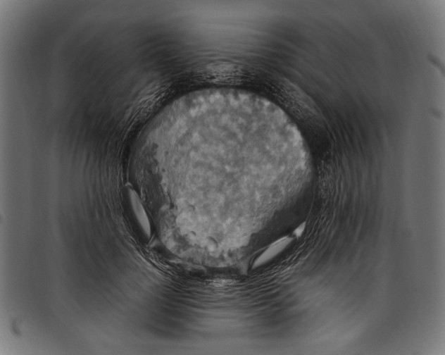 X0000097820748200803281121