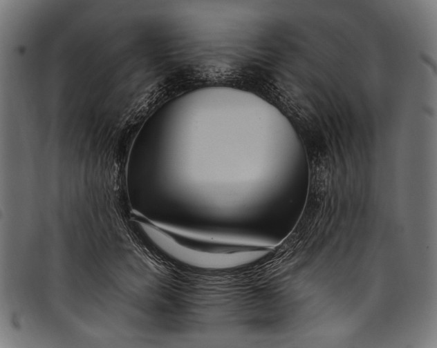 X0000097820750200803281121