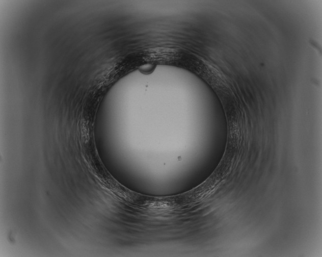 X0000097820751200803281121