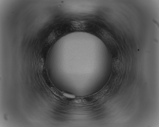 X0000097820752200803281121