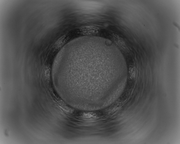 X0000097820753200803281121