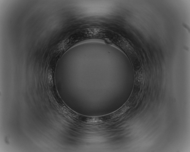 X0000097820754200803281121