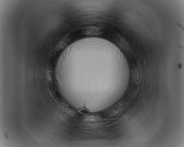 X0000097820755200803281121