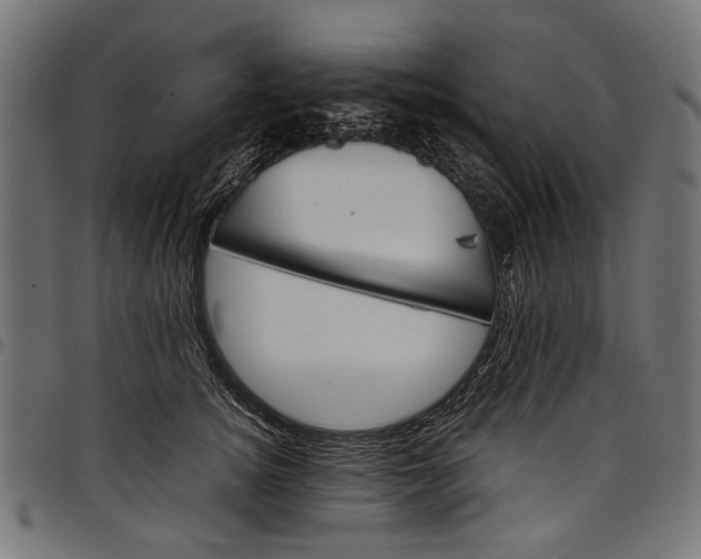 X0000097820756200803281121