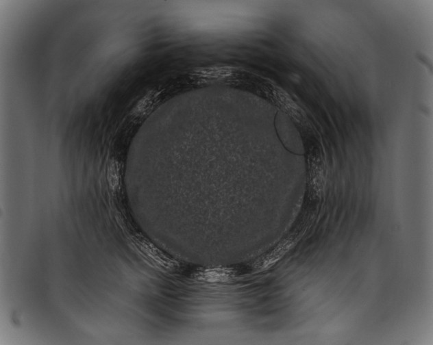 X0000097820758200803281121