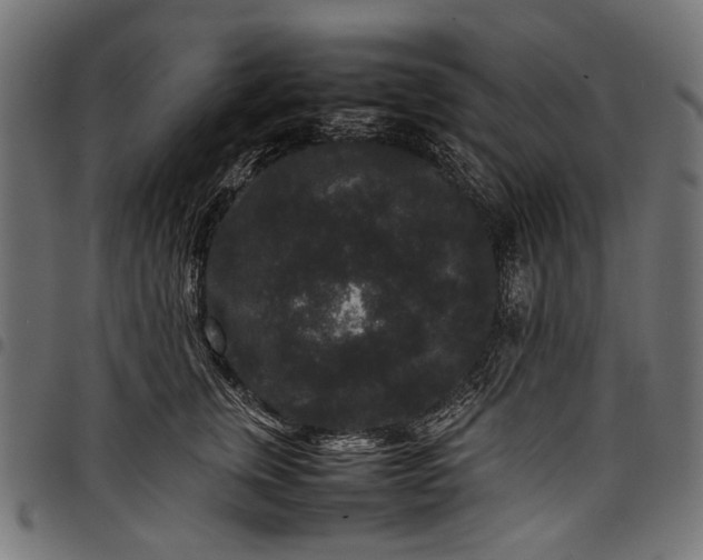 X0000097820759200803281121