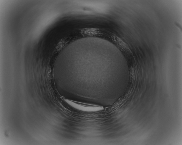 X0000097820760200803281121