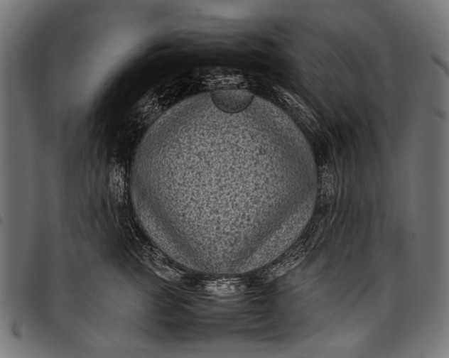 X0000097820761200803281121