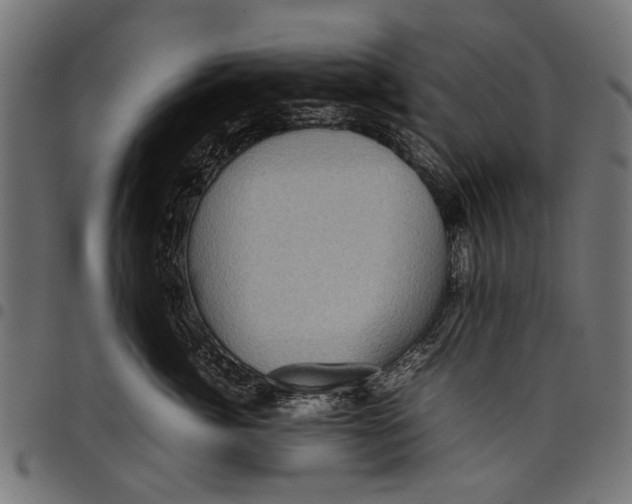 X0000097820764200803281121