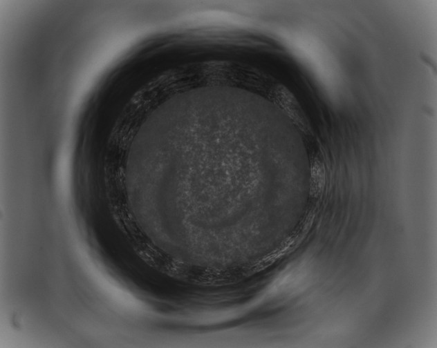 X0000097820765200803281121