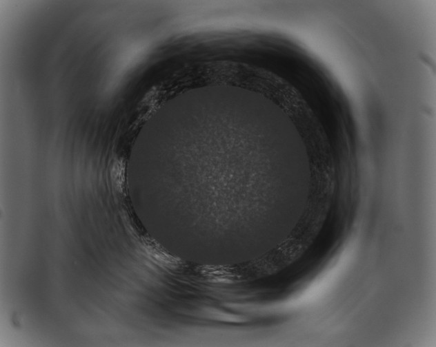 X0000097820767200803281121