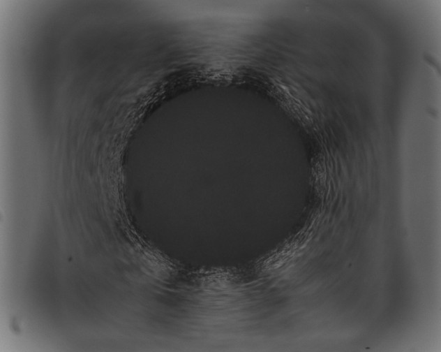 X0000097820769200803281120