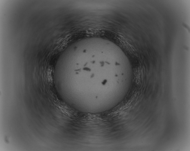 X0000097820770200803281120