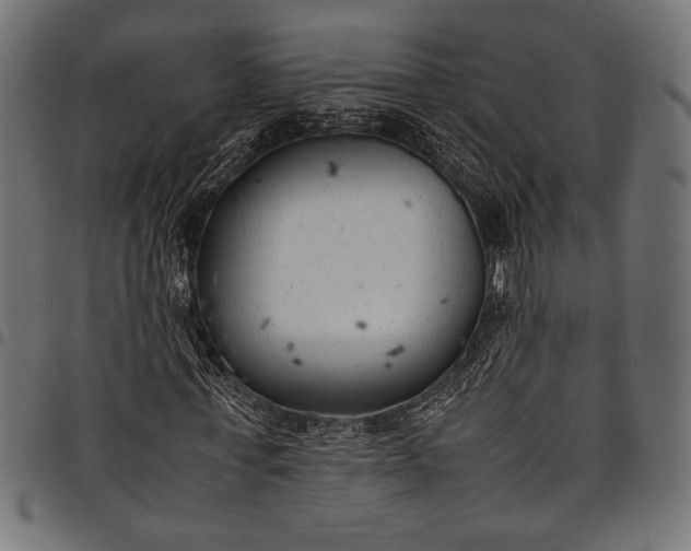 X0000097820771200803281120