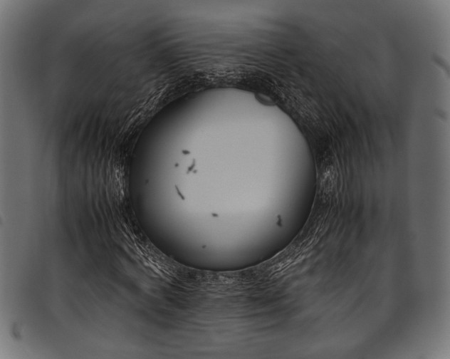 X0000097820772200803281120