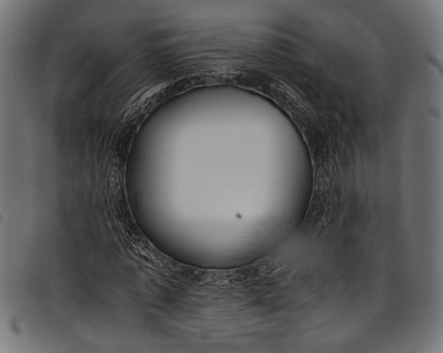 X0000097820773200803281120