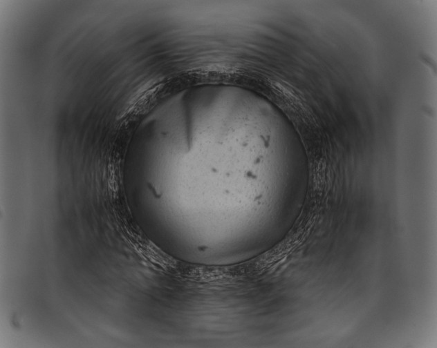 X0000097820774200803281120