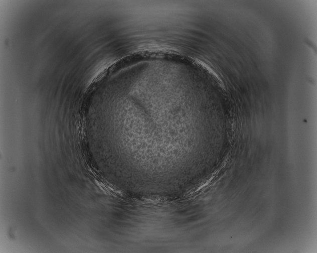 X0000097820775200803281120