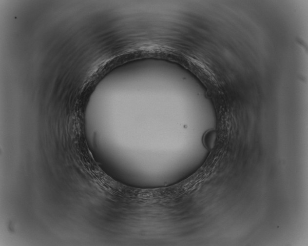 X0000097820776200803281120