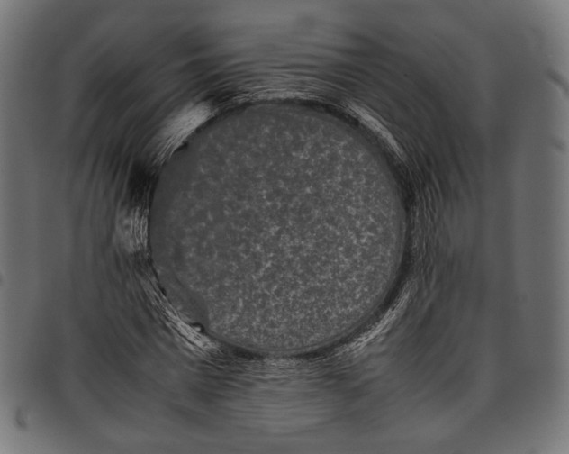 X0000097820777200803281120