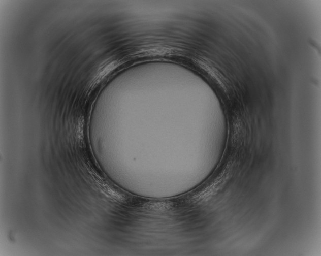 X0000097820778200803281120