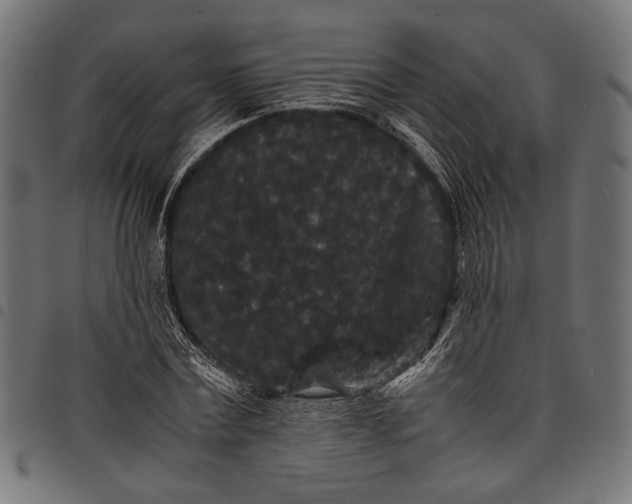 X0000097820779200803281120