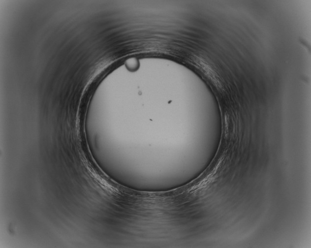 X0000097820780200803281120