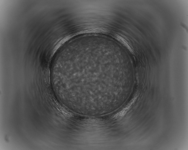 X0000097820781200803281120