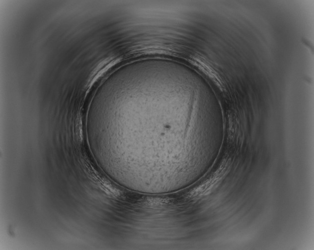 X0000097820782200803281120