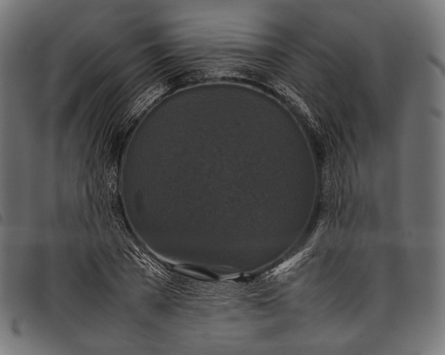 X0000097820785200803281120