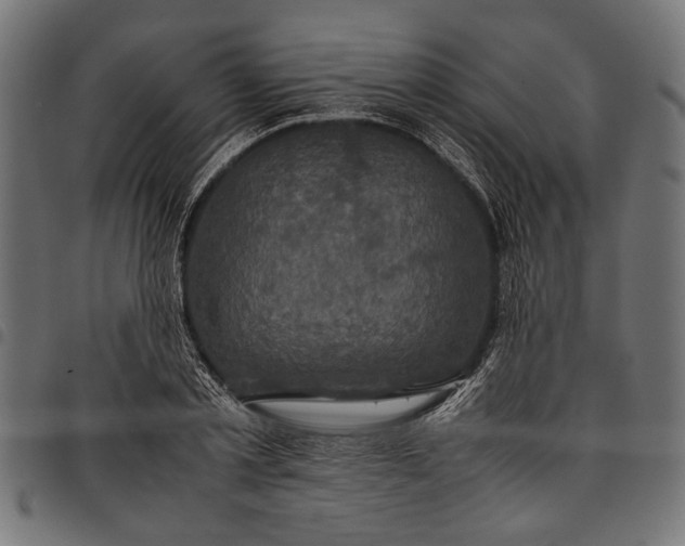 X0000097820789200803281120