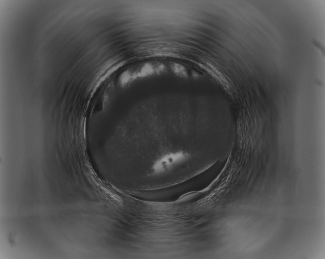 X0000097820790200803281120