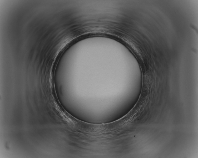 X0000097820791200803281120