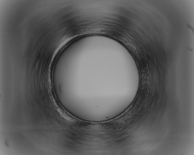 X0000097820792200803281120