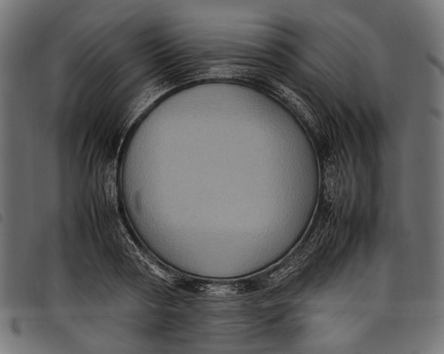 X0000097820794200803281120