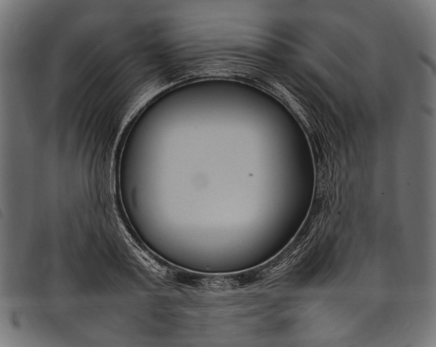 X0000097820795200803281120