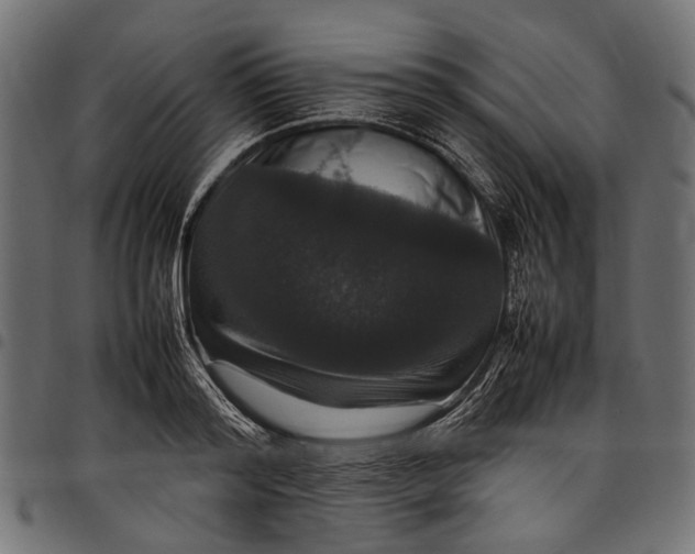 X0000097820796200803281120