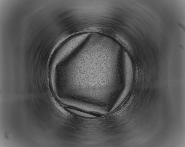 X0000097820800200803281120