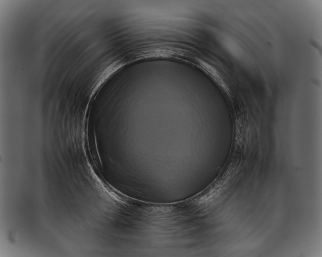 X0000097820802200803281120