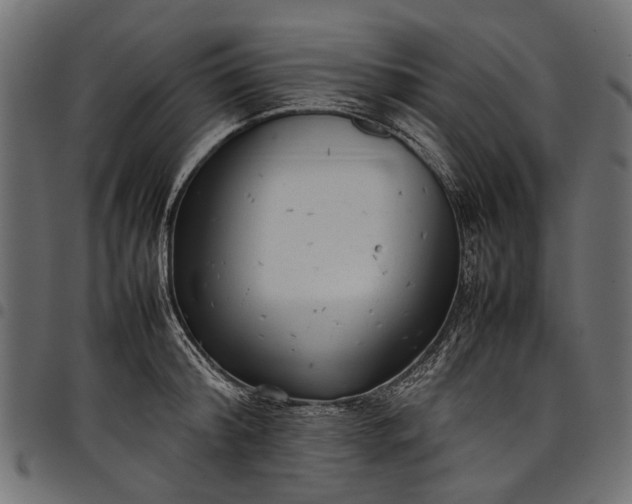 X0000097820804200803281120