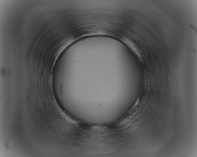 X0000097820805200803281120